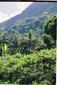 Comores 1ere mission Fevrier-010