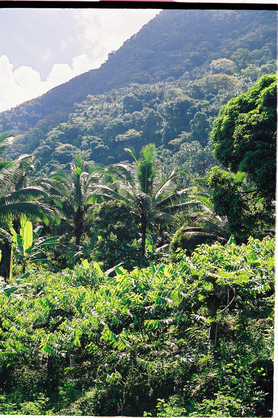 Comores 1ere mission Fevrier-010