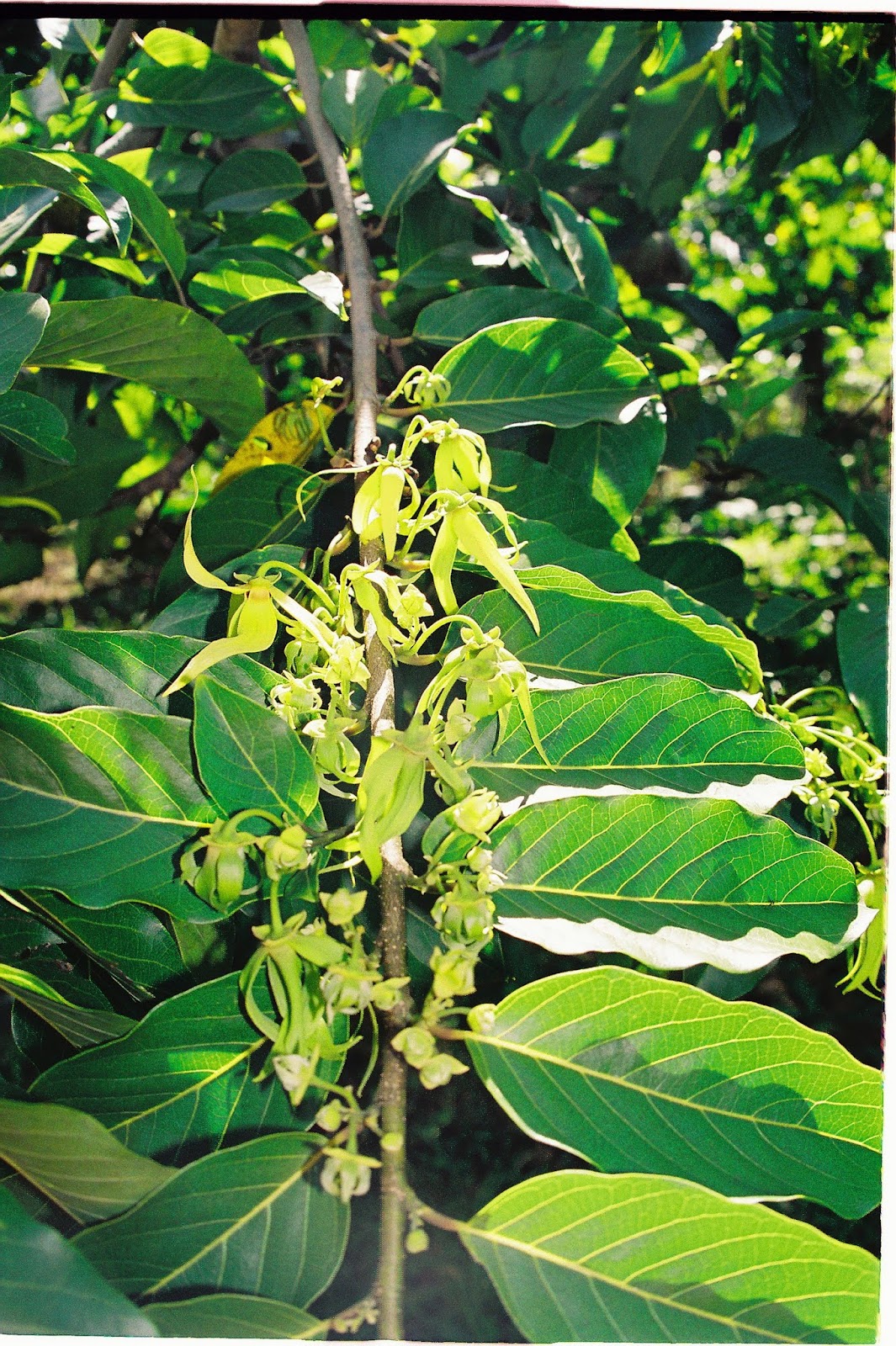 Comores 1ere mission Fevrier-011