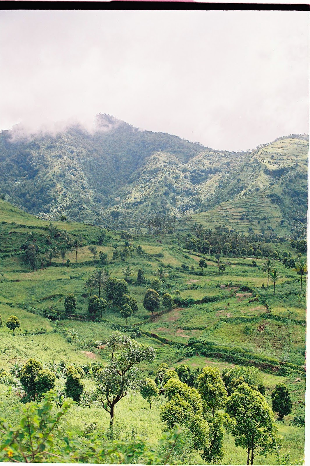 Comores 1ere mission Fevrier-013