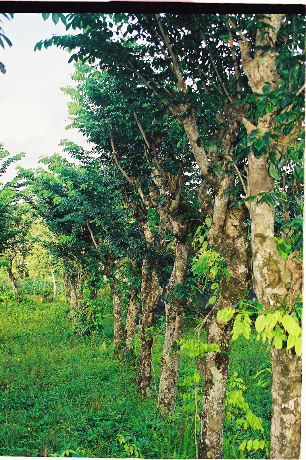 Comores 1ere mission Fevrier-031