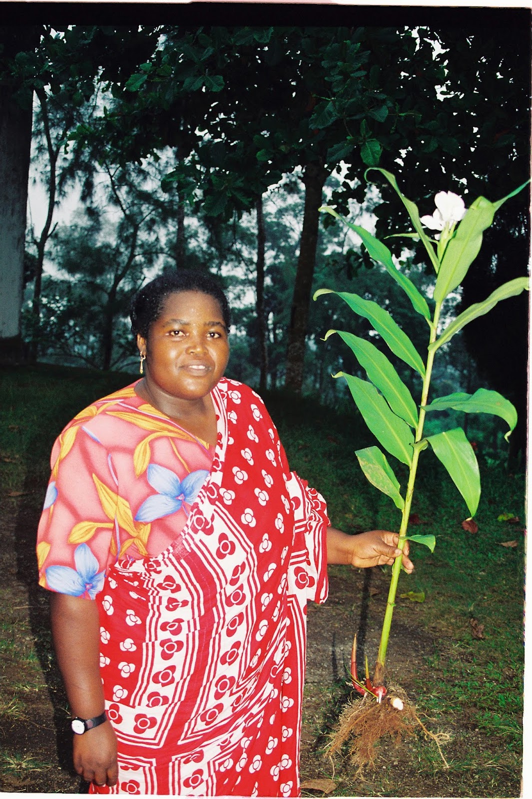 Comores 1ere mission Fevrier-034