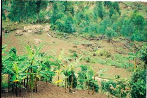 Rwanda mission unops fevrier-013