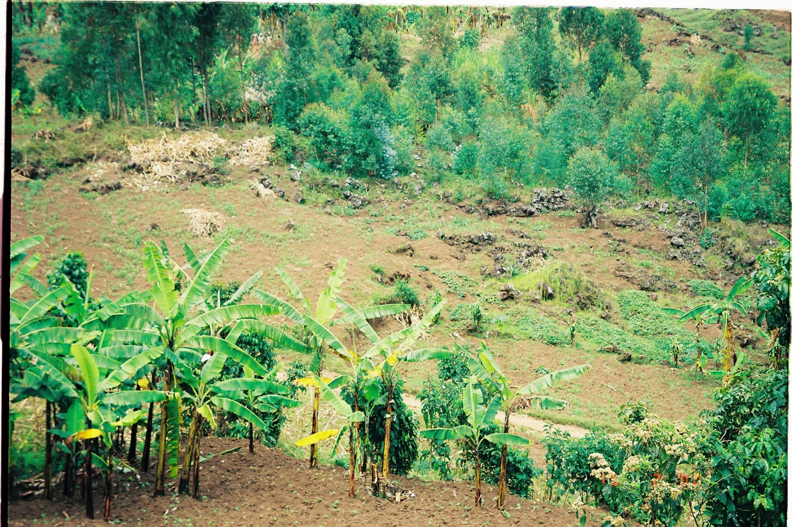 Rwanda mission unops fevrier-013